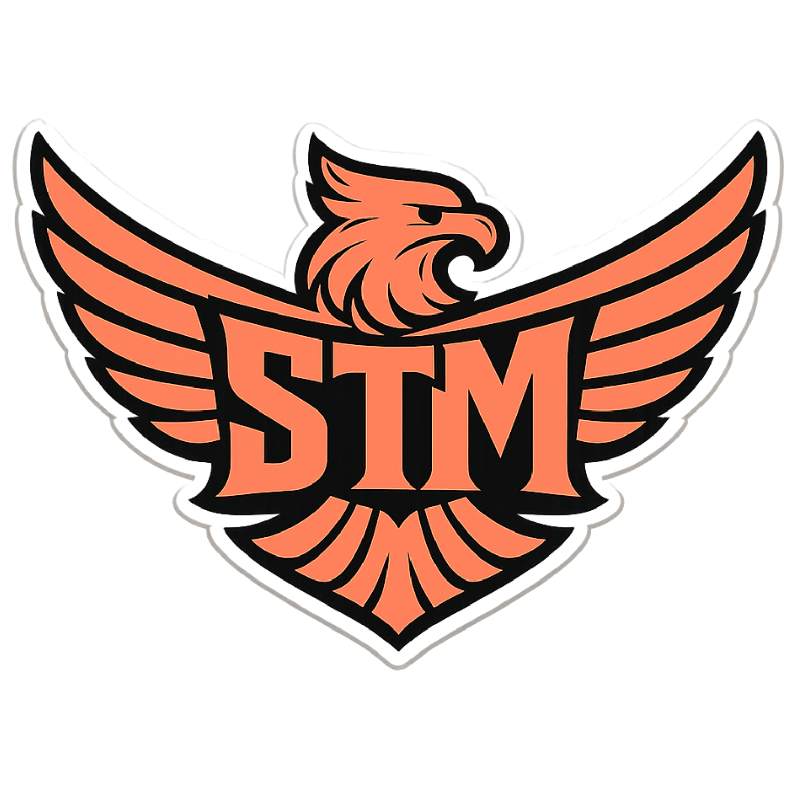 Timoer Management Logo