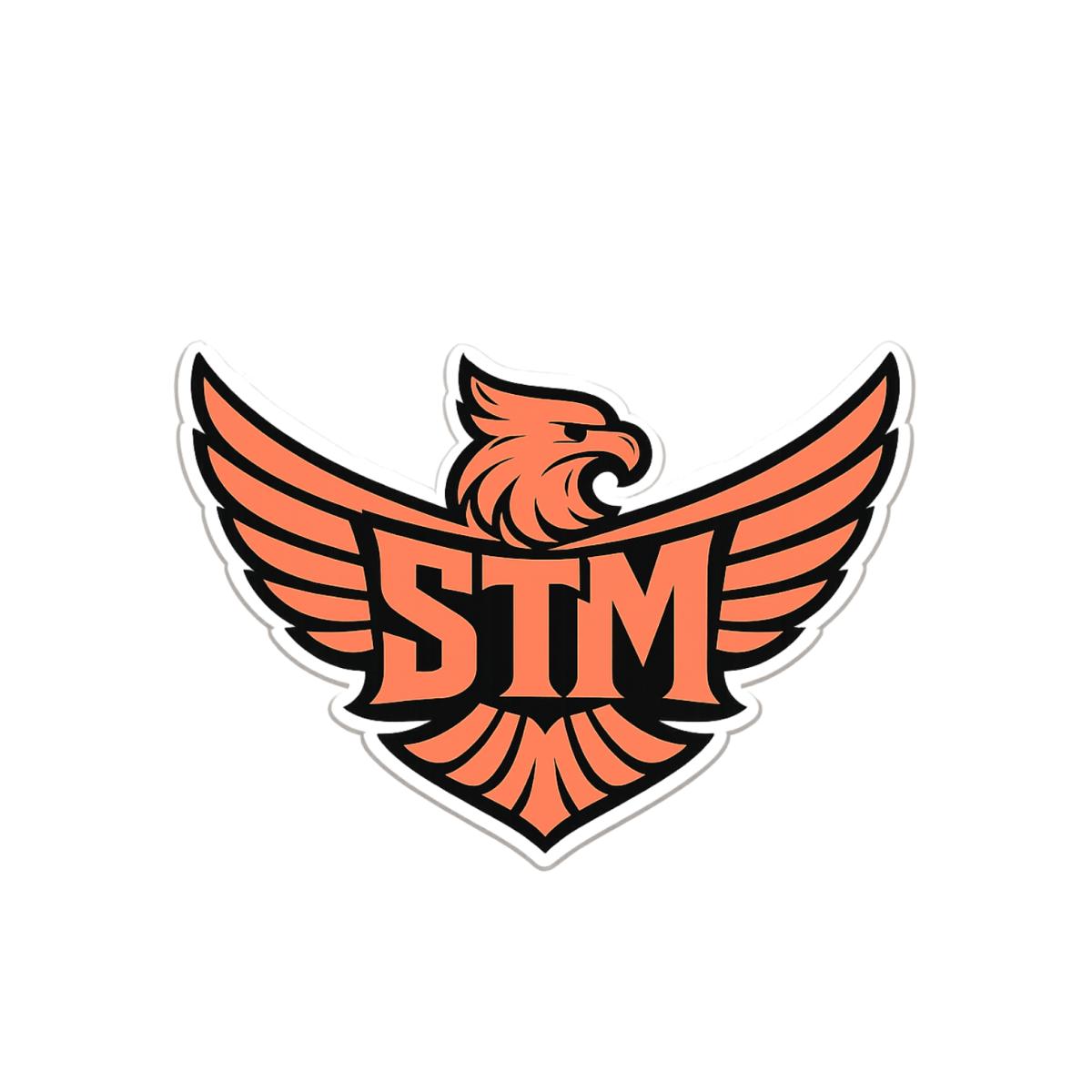 Logo TIMOER MANAGEMENT