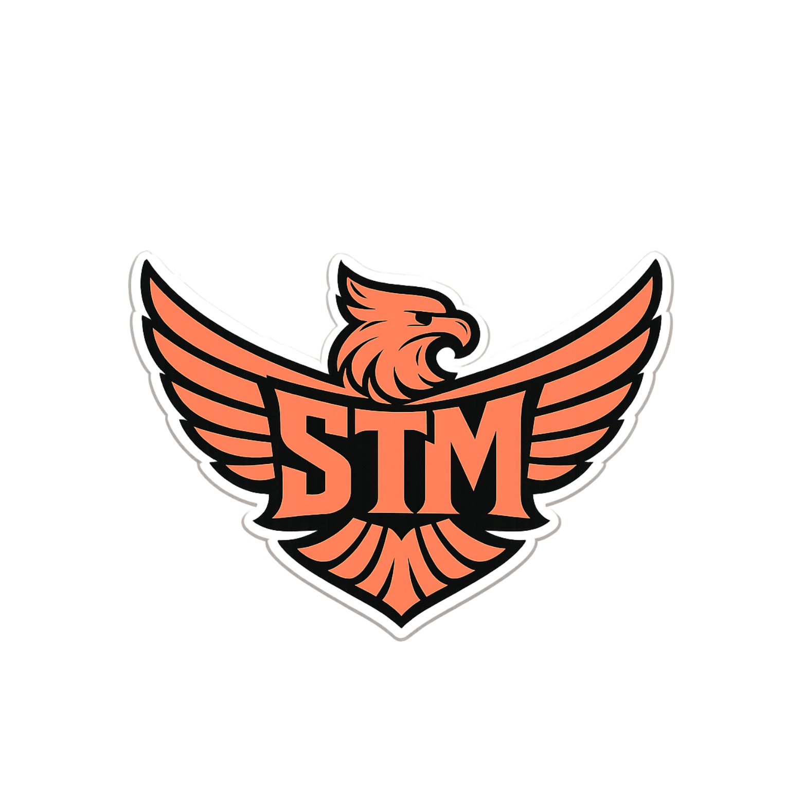 TIMOER MANAGEMENT